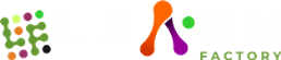 LearnFactory Nigeria